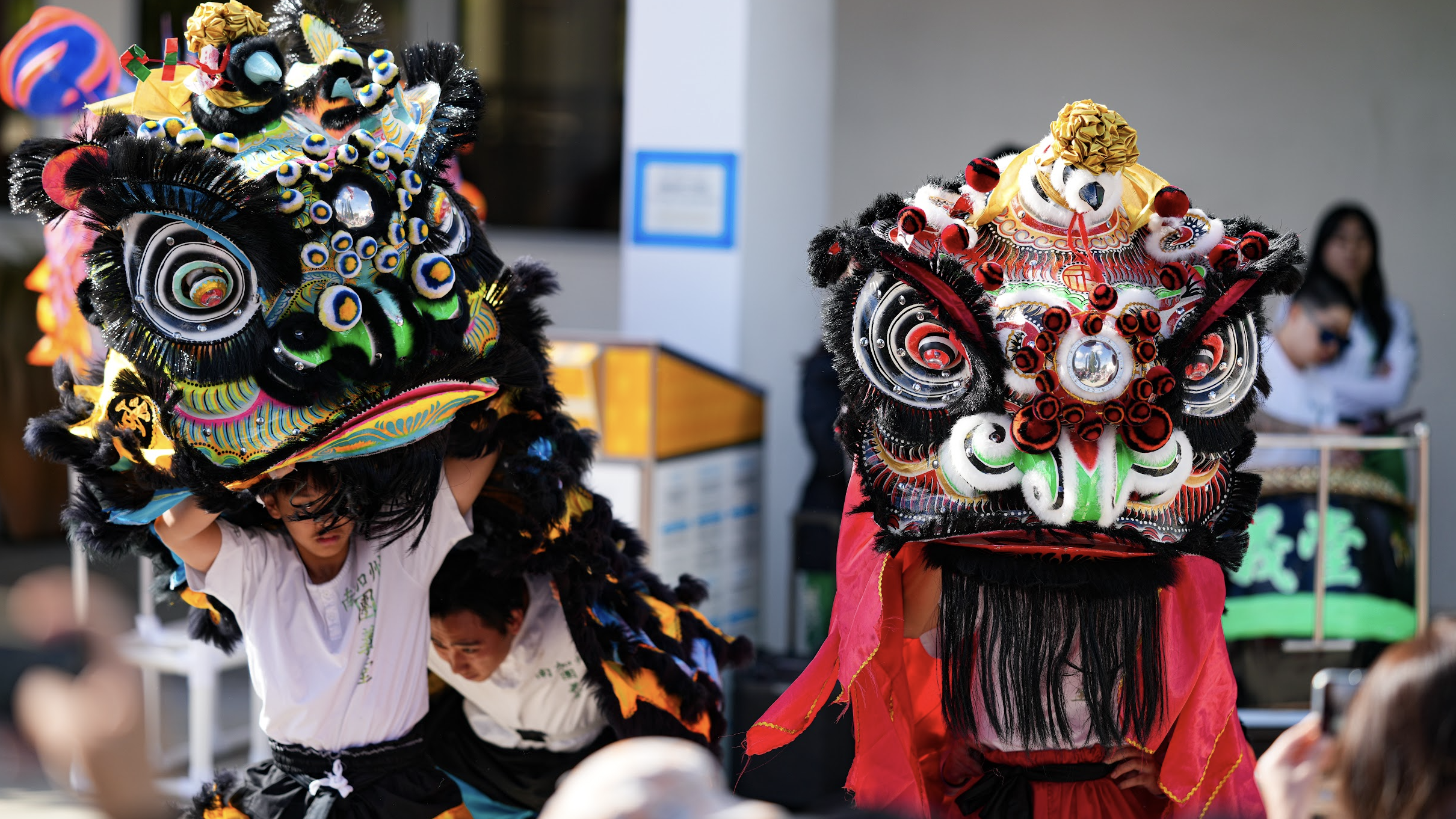 Traditional Lion Dance -